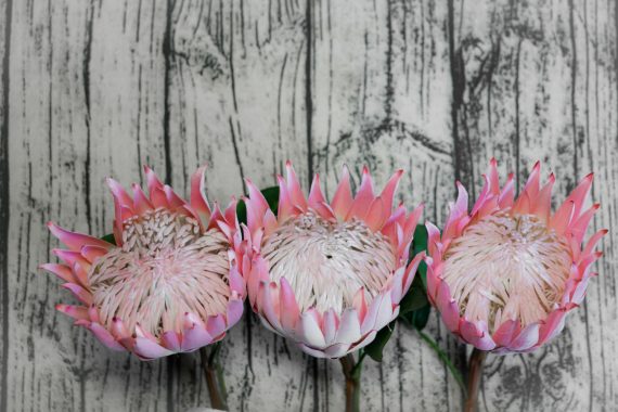 Let's Take a Moment to Ponder