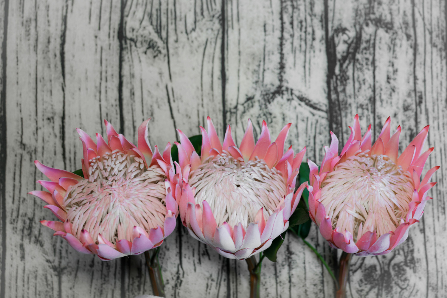 Let's Take a Moment to Ponder